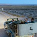 NAM KAR FishRiverCanyon 2016NOV19 058 : November, 2016, Karas, Namibia, Southern, Africa, Fish River Canyon, 2016 - African Adventures