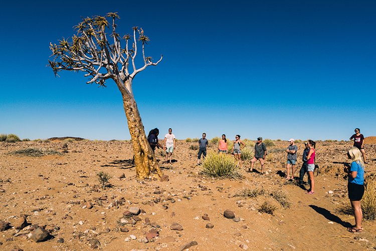 NAM KAR Gondwana 2016NOV19 NaturePark 011