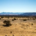NAM KAR Gondwana 2016NOV19 NaturePark 003 : 2016 - African Adventures, Karas, Namibia, Southern, Africa, Gondwana Nature Park, 2016, November