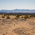 NAM KAR Gondwana 2016NOV19 NaturePark 005 : 2016 - African Adventures, Karas, Namibia, Southern, Africa, Gondwana Nature Park, 2016, November