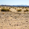 NAM KAR Gondwana 2016NOV19 NaturePark 006 : 2016 - African Adventures, Karas, Namibia, Southern, Africa, Gondwana Nature Park, 2016, November