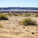 NAM KAR Gondwana 2016NOV19 NaturePark 007 : 2016 - African Adventures, Karas, Namibia, Southern, Africa, Gondwana Nature Park, 2016, November