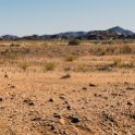 NAM KAR Gondwana 2016NOV19 NaturePark 014 : 2016 - African Adventures, Karas, Namibia, Southern, Africa, Gondwana Nature Park, 2016, November