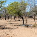 NAM KUN Otjikandero 2016NOV25 HimbaOrphanage 006 : 2016, 2016 - African Adventures, Africa, Date, Himba Orphanage Village, Kunene, Month, Namibia, November, Otjikandero, Places, Southern, Trips, Year