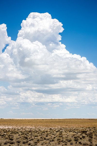 NAM OSHI Etosha 2016NOV26 055