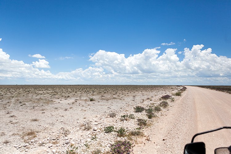 NAM OSHI Etosha 2016NOV26 057