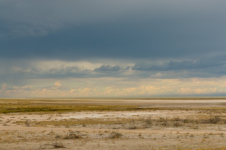 NAM OSHI Etosha 2016NOV26 090