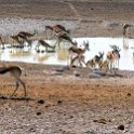 NAM OSHI Etosha 2016NOV26 014 : 2016, 2016 - African Adventures, Africa, Date, Etosha National Park, Month, Namibia, November, Oshikoto, Places, Southern, Trips, Year