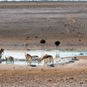 NAM OSHI Etosha 2016NOV26 017 : 2016, 2016 - African Adventures, Africa, Date, Etosha National Park, Month, Namibia, November, Oshikoto, Places, Southern, Trips, Year