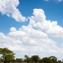 NAM OSHI Etosha 2016NOV26 042 : 2016, 2016 - African Adventures, Africa, Date, Etosha National Park, Month, Namibia, November, Oshikoto, Places, Southern, Trips, Year