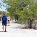 NAM OSHI Etosha 2016NOV26 048 : 2016, 2016 - African Adventures, Africa, Date, Etosha National Park, Month, Namibia, November, Oshikoto, Places, Southern, Trips, Year