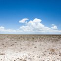 NAM OSHI Etosha 2016NOV26 056 : 2016, 2016 - African Adventures, Africa, Date, Etosha National Park, Month, Namibia, November, Oshikoto, Places, Southern, Trips, Year