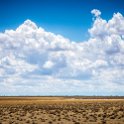 NAM OSHI Etosha 2016NOV26 061 : 2016, 2016 - African Adventures, Africa, Date, Etosha National Park, Month, Namibia, November, Oshikoto, Places, Southern, Trips, Year