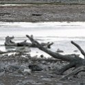 NAM OSHI Etosha 2016NOV26 084 : 2016, 2016 - African Adventures, Africa, Date, Etosha National Park, Month, Namibia, November, Oshikoto, Places, Southern, Trips, Year