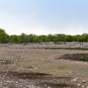 NAM OSHI Etosha 2016NOV26 086 : 2016, 2016 - African Adventures, Africa, Date, Etosha National Park, Month, Namibia, November, Oshikoto, Places, Southern, Trips, Year
