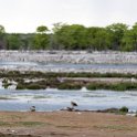 NAM OSHI Etosha 2016NOV26 087 : 2016, 2016 - African Adventures, Africa, Date, Etosha National Park, Month, Namibia, November, Oshikoto, Places, Southern, Trips, Year