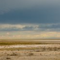 NAM OSHI Etosha 2016NOV26 090 : 2016, 2016 - African Adventures, Africa, Date, Etosha National Park, Month, Namibia, November, Oshikoto, Places, Southern, Trips, Year