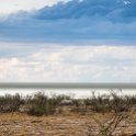 NAM OSHI Etosha 2016NOV26 096 : 2016, 2016 - African Adventures, Africa, Date, Etosha National Park, Month, Namibia, November, Oshikoto, Places, Southern, Trips, Year