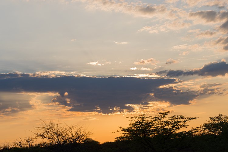 NAM OSHI Etosha 2016NOV27 001