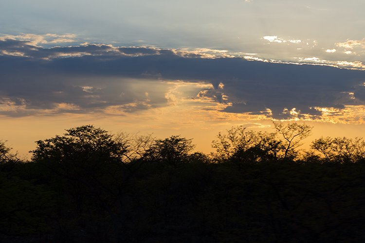 NAM OSHI Etosha 2016NOV27 002