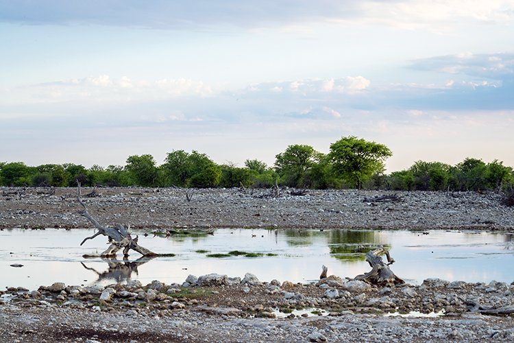 NAM OSHI Etosha 2016NOV27 004