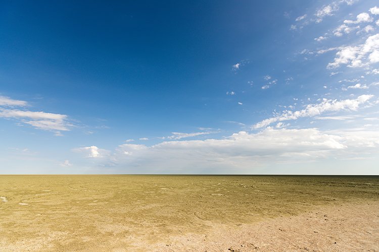 NAM OSHI Etosha 2016NOV27 019