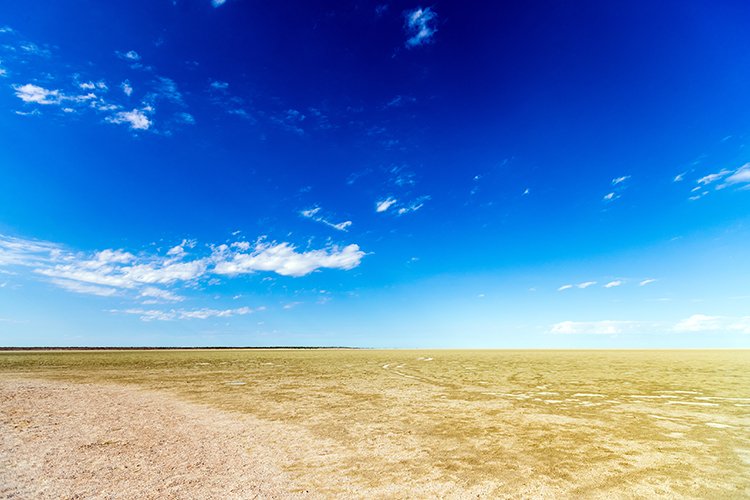 NAM OSHI Etosha 2016NOV27 020