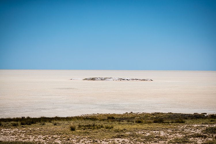 NAM OSHI Etosha 2016NOV27 082