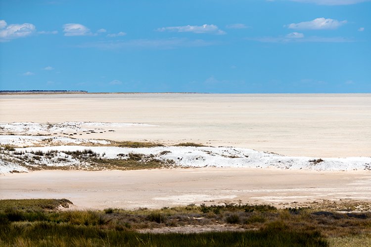 NAM OSHI Etosha 2016NOV27 083