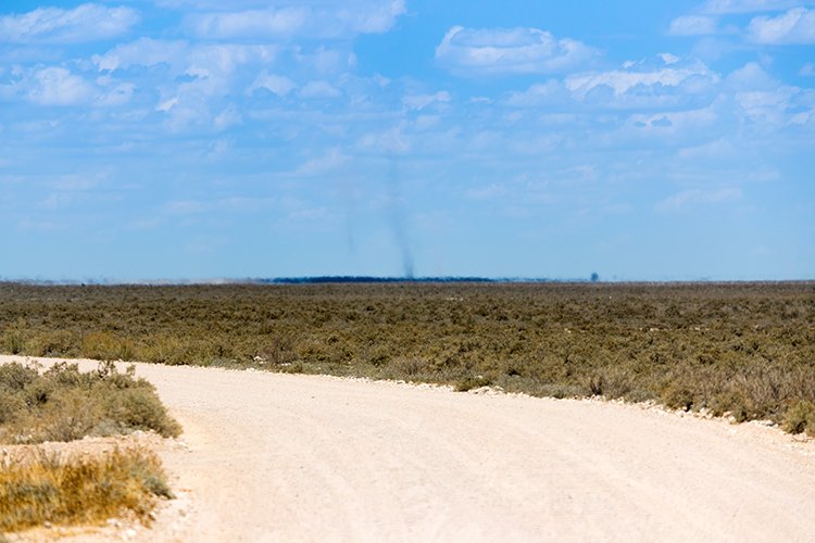NAM OSHI Etosha 2016NOV27 093