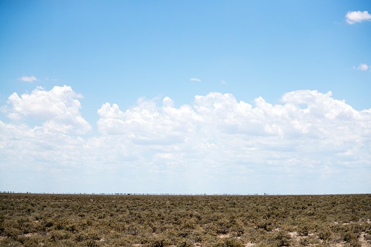 NAM OSHI Etosha 2016NOV27 098