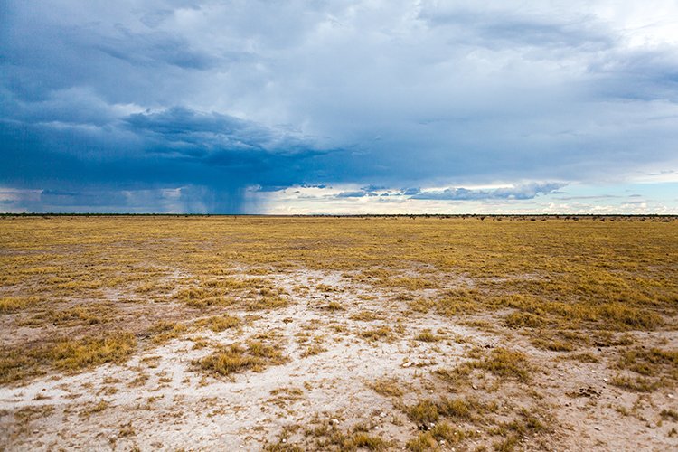 NAM OSHI Etosha 2016NOV27 117