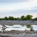 NAM OSHI Etosha 2016NOV27 004 : 2016, 2016 - African Adventures, Africa, Date, Etosha National Park, Month, Namibia, November, Oshikoto, Places, Southern, Trips, Year