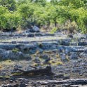 NAM_OSHI_Etosha_2016NOV27_018.jpg