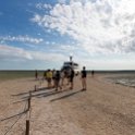 NAM OSHI Etosha 2016NOV27 021 : 2016, 2016 - African Adventures, Africa, Date, Etosha National Park, Month, Namibia, November, Oshikoto, Places, Southern, Trips, Year
