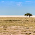 NAM_OSHI_Etosha_2016NOV27_067.jpg