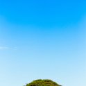 NAM OSHI Etosha 2016NOV27 073 : 2016, 2016 - African Adventures, Africa, Date, Etosha National Park, Month, Namibia, November, Oshikoto, Places, Southern, Trips, Year