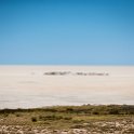 NAM OSHI Etosha 2016NOV27 082 : 2016, 2016 - African Adventures, Africa, Date, Etosha National Park, Month, Namibia, November, Oshikoto, Places, Southern, Trips, Year