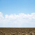NAM OSHI Etosha 2016NOV27 098 : 2016, 2016 - African Adventures, Africa, Date, Etosha National Park, Month, Namibia, November, Oshikoto, Places, Southern, Trips, Year