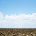 NAM_OSHI_Etosha_2016NOV27_098.jpg