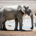 NAM OSHI Etosha 2016NOV27 110 : 2016, 2016 - African Adventures, Africa, Date, Etosha National Park, Month, Namibia, November, Oshikoto, Places, Southern, Trips, Year