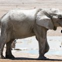 NAM OSHI Etosha 2016NOV27 114 : 2016, 2016 - African Adventures, Africa, Date, Etosha National Park, Month, Namibia, November, Oshikoto, Places, Southern, Trips, Year