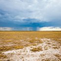 NAM OSHI Etosha 2016NOV27 116