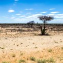 NAM OTJ RoadB1 2016NOV28 006 : 2016 - African Adventures, 2017, Africa, B1, Date, Month, Namibia, November, Otjozondjupa, Places, Southern, Trips, Year