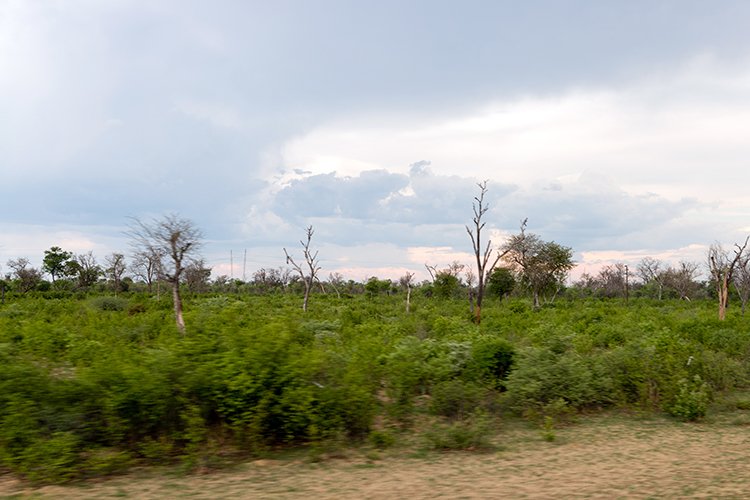 NAM ZAM RoadB8 2016DEC03 005