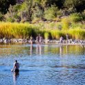 ZAF NC NAM Vioolsdrif 2016NOV18 FiddlersCreek 004 : November, 2016, Vioolsdrif, Namakwa, Northern Cape, South Africa, Southern, Africa, Fiddlers Creek Rest Camp, 2016 - African Adventures