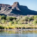 ZAF NC NAM Vioolsdrif 2016NOV18 FiddlersCreek 008 : November, 2016, Vioolsdrif, Namakwa, Northern Cape, South Africa, Southern, Africa, Fiddlers Creek Rest Camp, 2016 - African Adventures