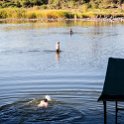 ZAF NC NAM Vioolsdrif 2016NOV18 FiddlersCreek 009 : November, 2016, Vioolsdrif, Namakwa, Northern Cape, South Africa, Southern, Africa, Fiddlers Creek Rest Camp, 2016 - African Adventures