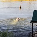 ZAF NC NAM Vioolsdrif 2016NOV18 FiddlersCreek 010 : November, 2016, Vioolsdrif, Namakwa, Northern Cape, South Africa, Southern, Africa, Fiddlers Creek Rest Camp, 2016 - African Adventures