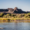 ZAF NC NAM Vioolsdrif 2016NOV18 FiddlersCreek 011 : November, 2016, Vioolsdrif, Namakwa, Northern Cape, South Africa, Southern, Africa, Fiddlers Creek Rest Camp, 2016 - African Adventures